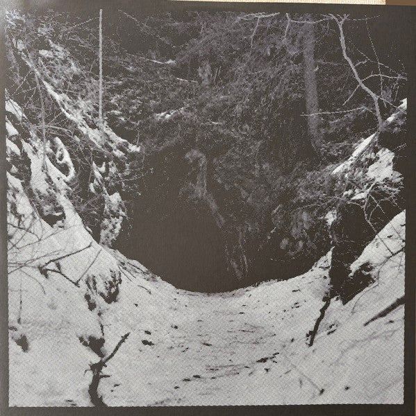 Erik Skodvin - From Darkness — front sleeve