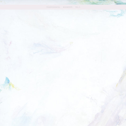 Various : Transcendental Movements Vol. 2 (2xLP)