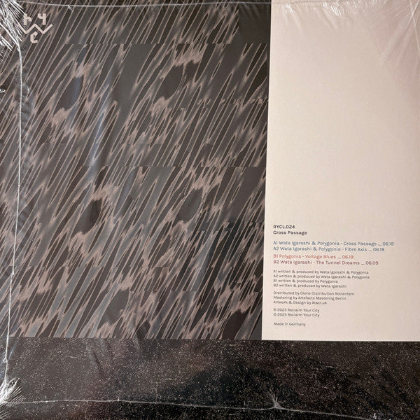 Wata Igarashi & Polygonia - Cross Passage — back sleeve