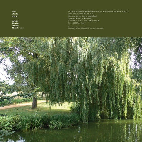 Rosy Parlane : Array (LP, Comp)