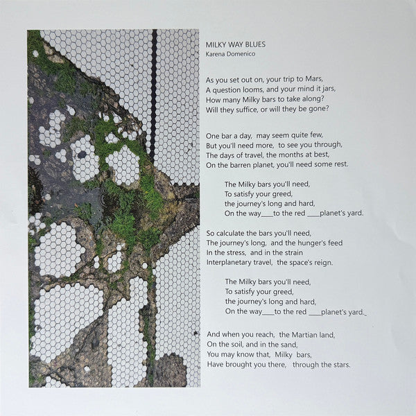 Various : Microwave Buddha & Other Delights: A Virtual Compilation Of Collaborations & Remixes (LP)