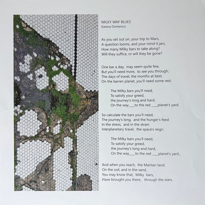 Various : Microwave Buddha & Other Delights: A Virtual Compilation Of Collaborations & Remixes (LP)