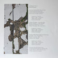 Various : Microwave Buddha & Other Delights: A Virtual Compilation Of Collaborations & Remixes (LP)
