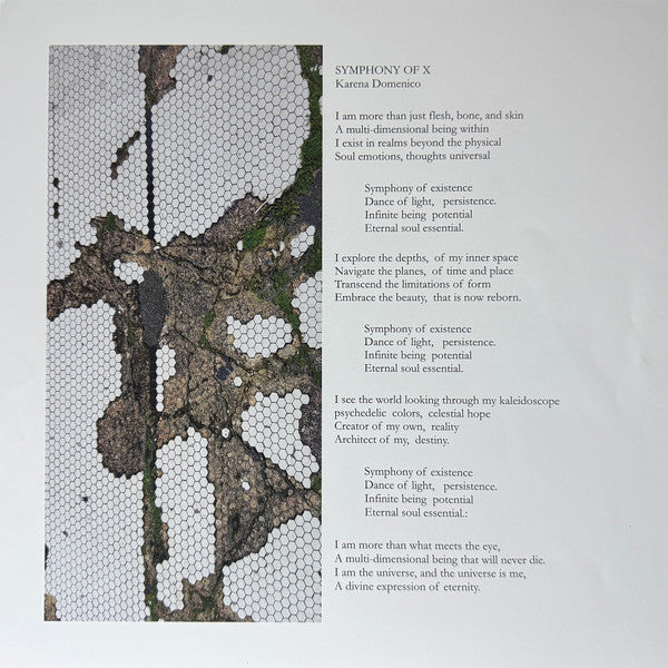 Various : Microwave Buddha & Other Delights: A Virtual Compilation Of Collaborations & Remixes (LP)