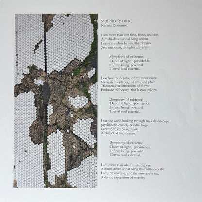 Various : Microwave Buddha & Other Delights: A Virtual Compilation Of Collaborations & Remixes (LP)