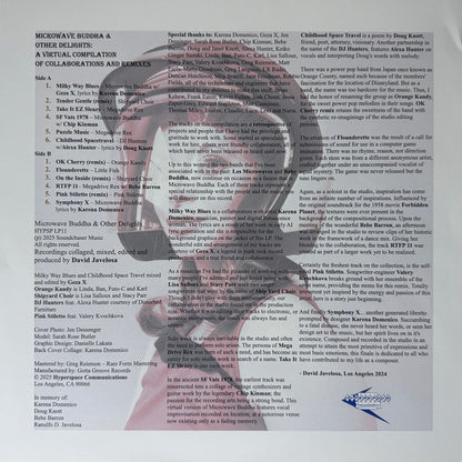 Various : Microwave Buddha & Other Delights: A Virtual Compilation Of Collaborations & Remixes (LP)