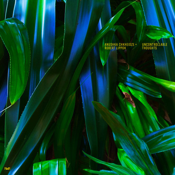 Anushka Chkheidze + Robert Lippok - Uncontrollable Thoughts — front sleeve