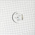 Xenia Reaper : Nept Polarisation (LP, Album)