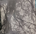 Grouper : Way Their Crept (LP, Album, RE)