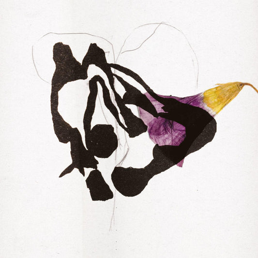 Roxane Métayer : Vies Sylvestres (LP, Album)