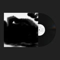 Rafael Anton Irisarri : Points Of Inaccessibility (LP, Album)