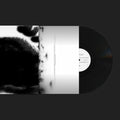 Rafael Anton Irisarri : Points Of Inaccessibility (LP, Album)
