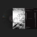 Rafael Anton Irisarri : Points Of Inaccessibility (LP, Album)