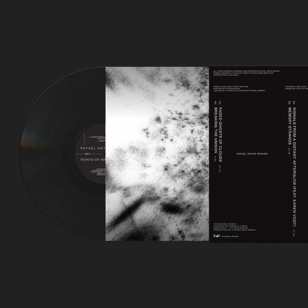 Rafael Anton Irisarri : Points Of Inaccessibility (LP, Album)