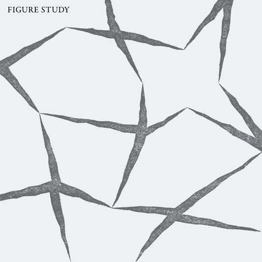 Figure Study : Figure Study (LP, Album)