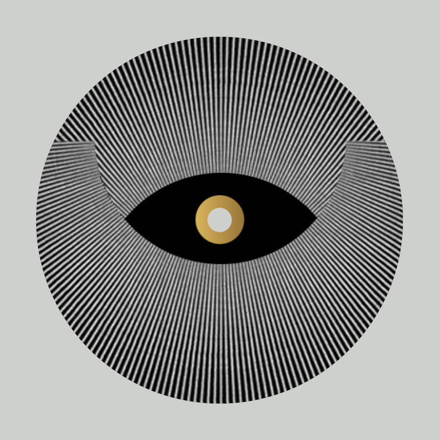 Denise Rabe - Transition LP — front sleeve