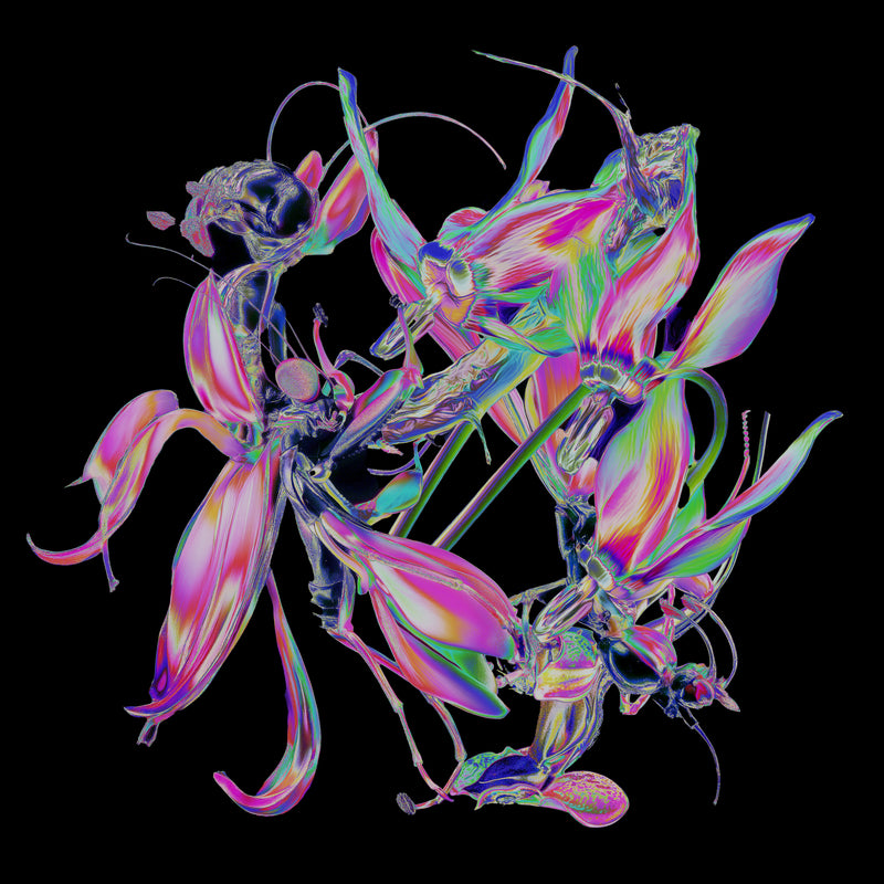 Theo Kottis - Drone — front sleeve