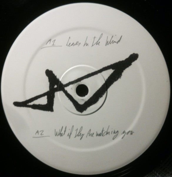Shadows (2) : Fear Of The Imagination (12", EP, 180)