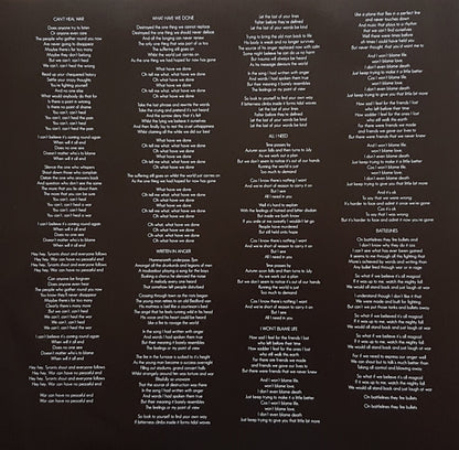 Damian Wilson : Built For Fighting (LP, Album)