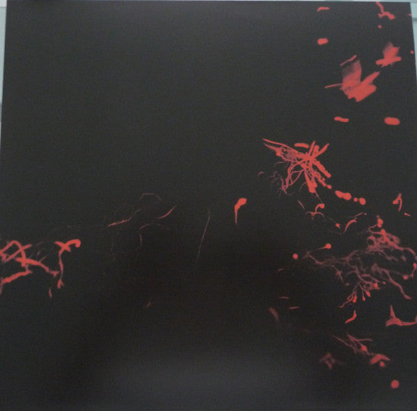 Svarte Greiner - Moss Garden — front sleeve
