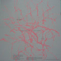 Svarte Greiner : Moss Garden (LP, Album)