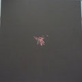 Svarte Greiner : Moss Garden (LP, Album)