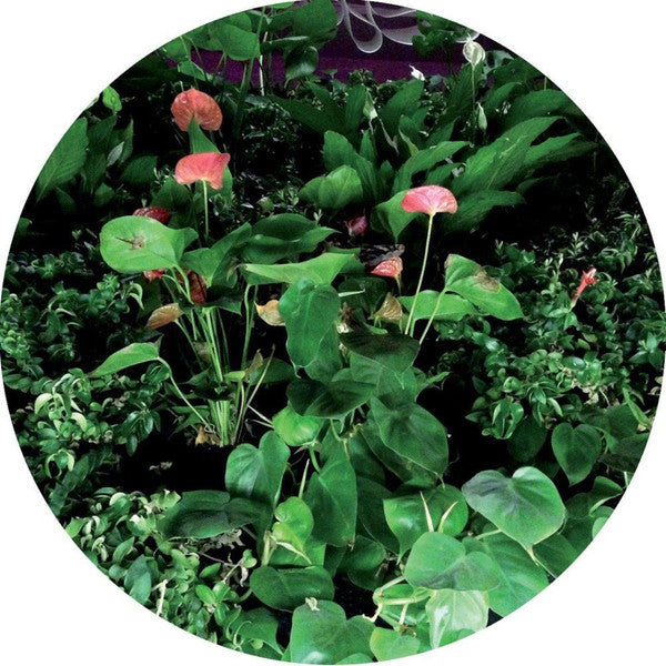 Universo  - Underworld EP — front sleeve