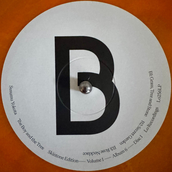 Susumu Yokota – Skintone Edition Volume 1 - Albums 1-7 (Box, Comp, RE, RM + 2xLP, Album, Gol + LP, Album, ) vinyl record | Paranoise Records
