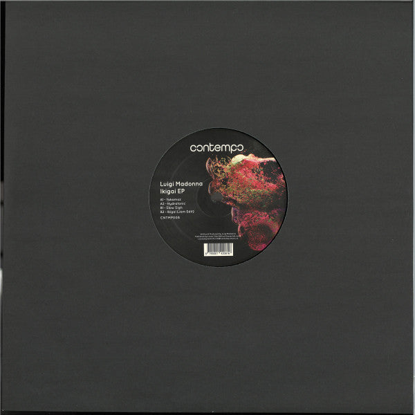 Luigi Madonna – Ikigai Ep (12", EP) vinyl record | Paranoise Records