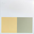 Alva Noto + Ryuichi Sakamoto – VIRUS (2xLP, Album, RE, RM + 2xLP, Album, RE, RM + LP, Al) vinyl record | Paranoise Records