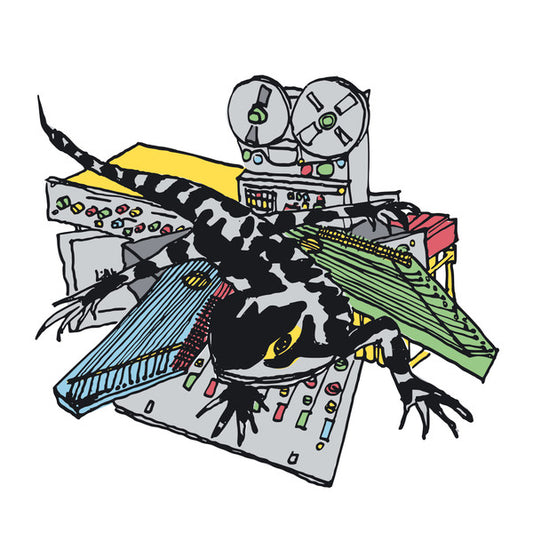 Ulrich Troyer – Transit Tribe (LP, Album) vinyl record | Paranoise Records