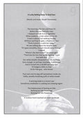 Tomokawa Kazuki = Tomokawa Kazuki – 花火 = Hanabi (LP, Comp, Ltd, RM) vinyl record | Paranoise Records