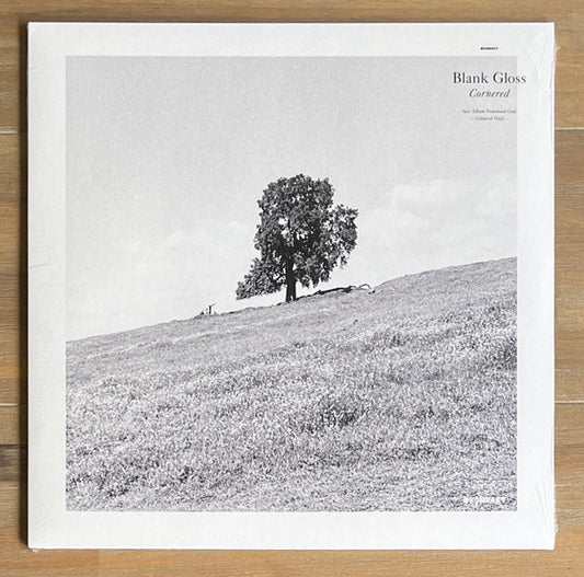Blank Gloss – Cornered (LP, Album, Ltd, Cur) vinyl record | Paranoise Records