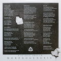 Paradox Obscur – Morphogenesis (LP, Album, Ltd, Sil) vinyl record | Paranoise Records
