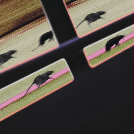 DJ JM – Rat Race (12") vinyl record | Paranoise Records