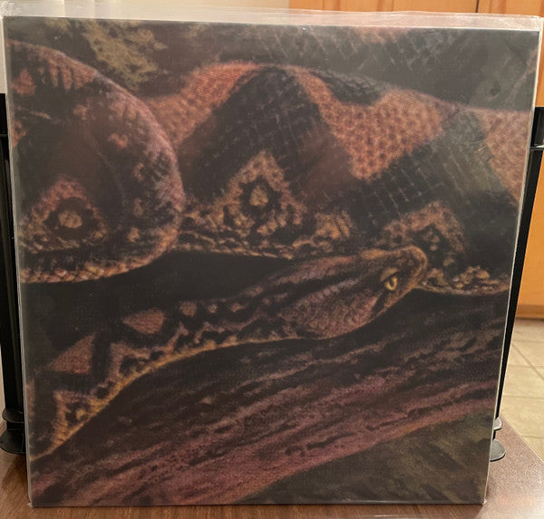 Rainforest Spiritual Enslavement - Ambient Black Magic — front sleeve