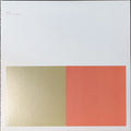 Alva Noto + Ryuichi Sakamoto – VIRUS (2xLP, Album, RE, RM + 2xLP, Album, RE, RM + LP, Al) vinyl record | Paranoise Records