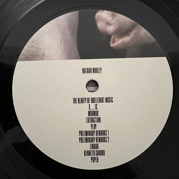 Gudrun Gut, Nate Wooley – Painter (LP, Album) vinyl record | Paranoise Records