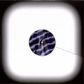 Privacy – Mnemosyne (12", EP) vinyl record | Paranoise Records