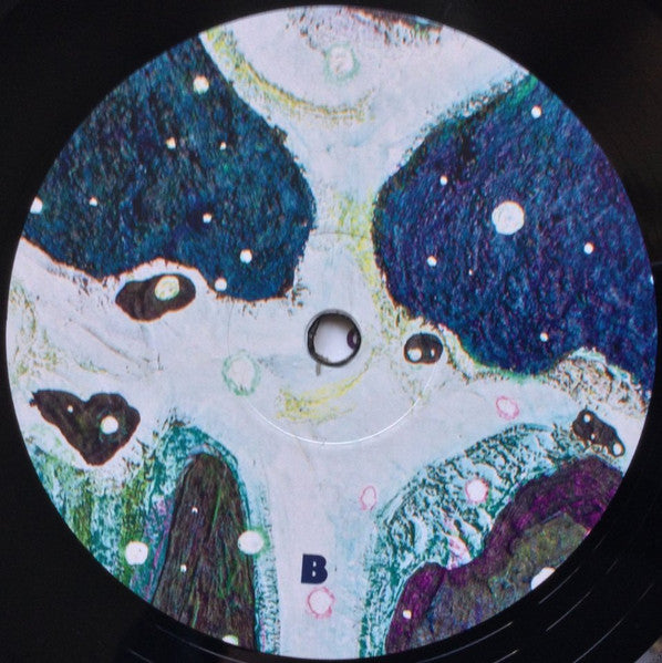 Max Loderbauer – Petrichor (LP, Album, 180) vinyl record | Paranoise Records
