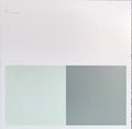 Alva Noto + Ryuichi Sakamoto – VIRUS (2xLP, Album, RE, RM + 2xLP, Album, RE, RM + LP, Al) vinyl record | Paranoise Records