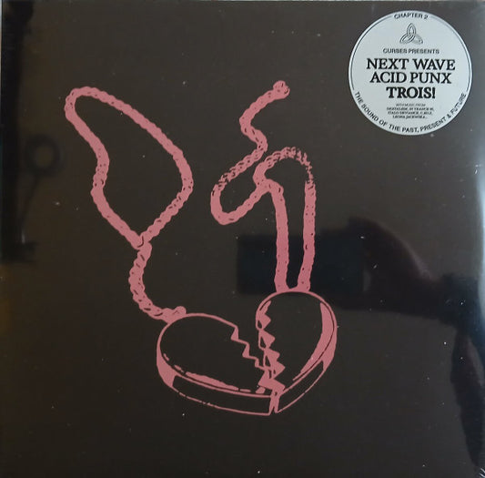 Curses! – Presents Next Wave Acid Punx Trois! Chapter 2 (2xLP, Comp) vinyl record | Paranoise Records
