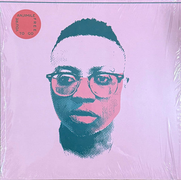 Anjimile – You're Free To Go (LP, Album, Gre) vinyl record | Paranoise Records