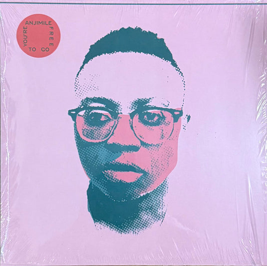 Anjimile – You're Free To Go (LP, Album, Gre) vinyl record | Paranoise Records