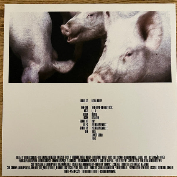 Gudrun Gut, Nate Wooley – Painter (LP, Album) vinyl record | Paranoise Records