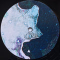 Max Loderbauer – Petrichor (LP, Album, 180) vinyl record | Paranoise Records