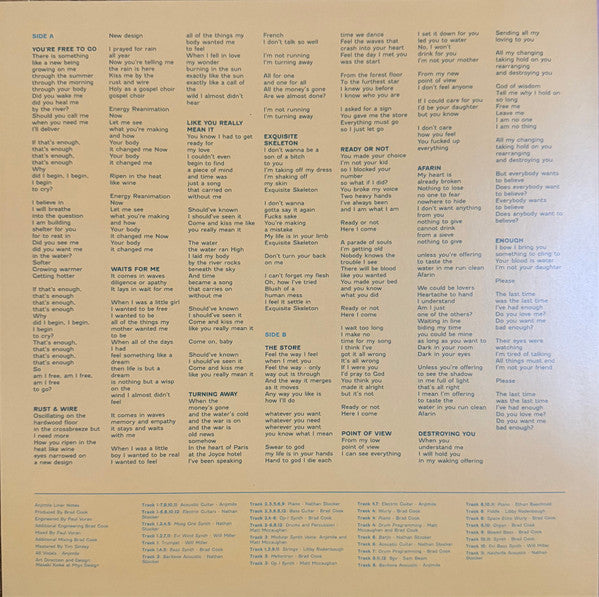 Anjimile – You're Free To Go (LP, Album, Gre) vinyl record | Paranoise Records