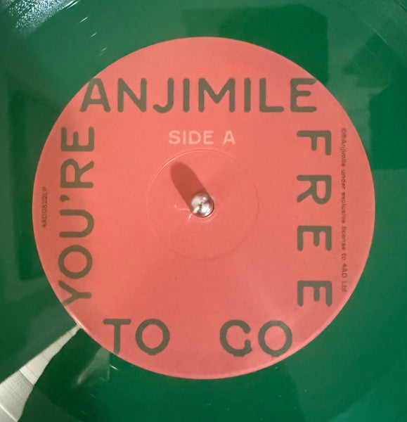 Anjimile – You're Free To Go (LP, Album, Gre) vinyl record | Paranoise Records