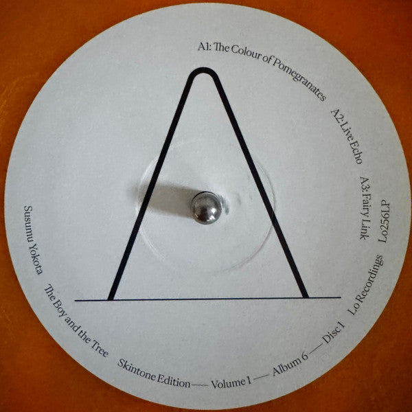 Susumu Yokota – Skintone Edition Volume 1 - Albums 1-7 (Box, Comp, RE, RM + 2xLP, Album, Gol + LP, Album, ) vinyl record | Paranoise Records