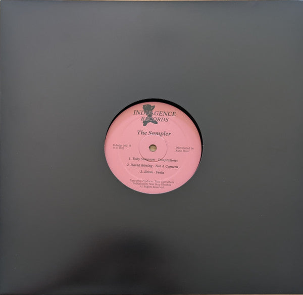 Various – The Sampler (12") vinyl record | Paranoise Records